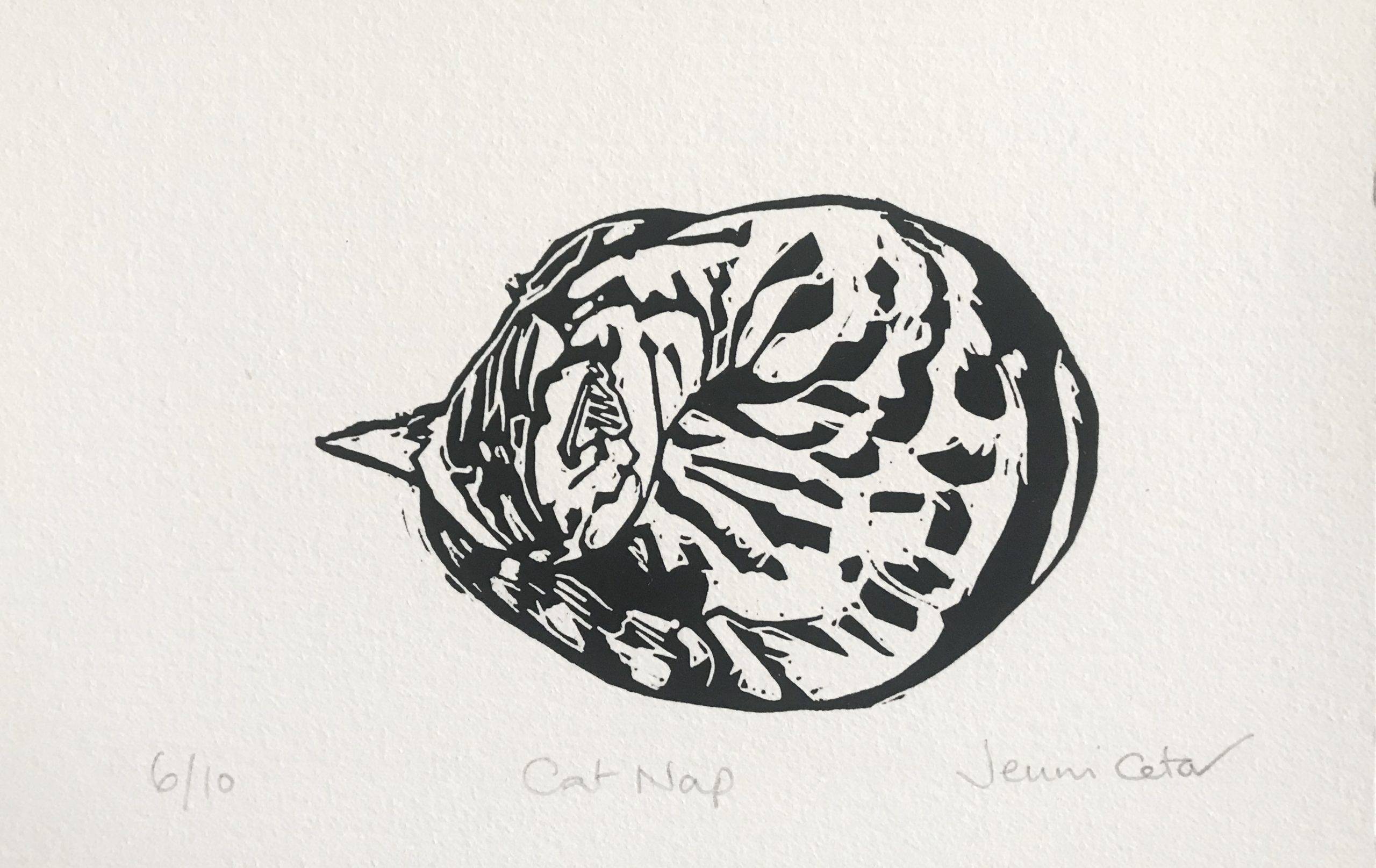 Cat Nap