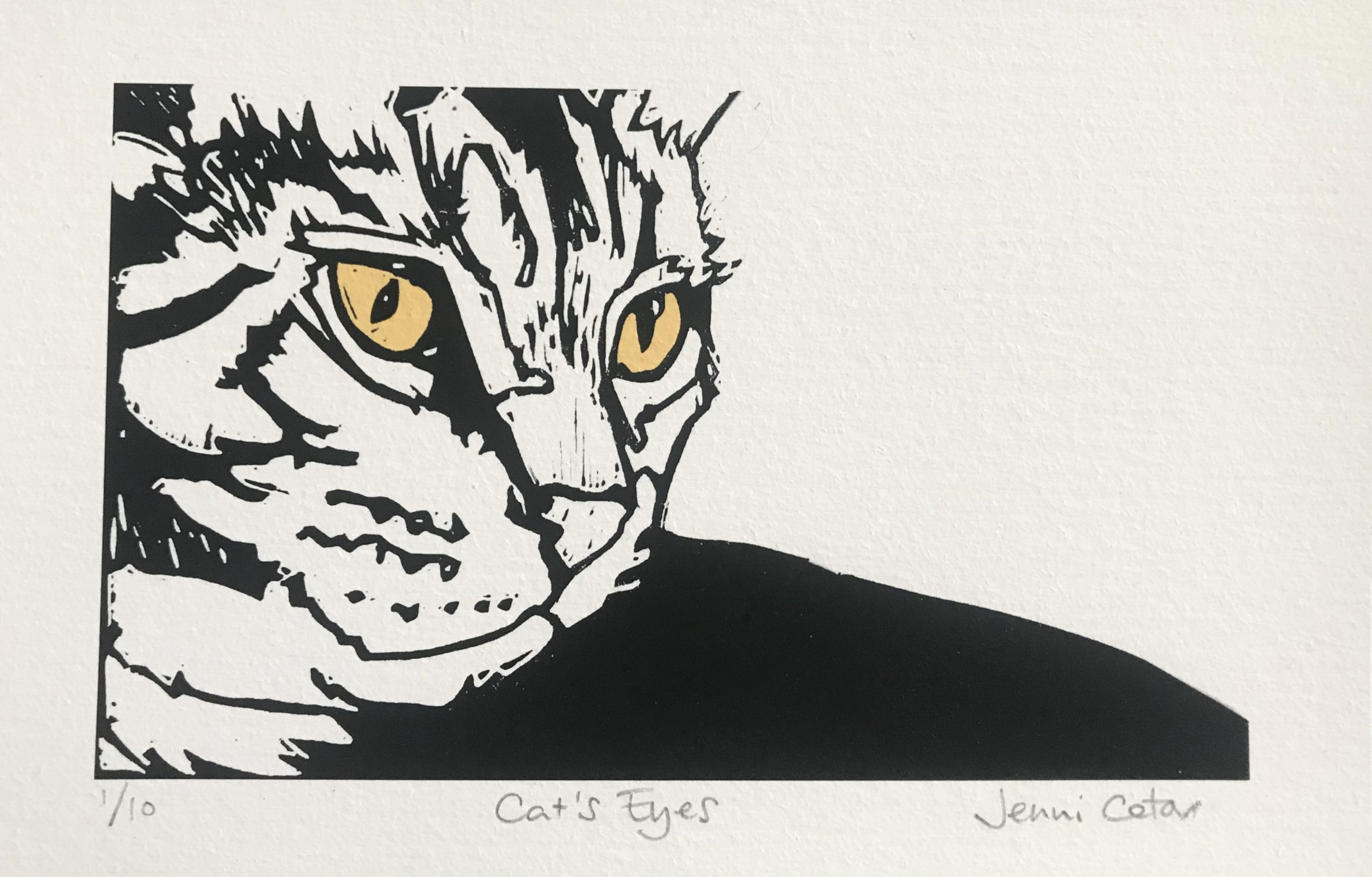 Cats Eyes