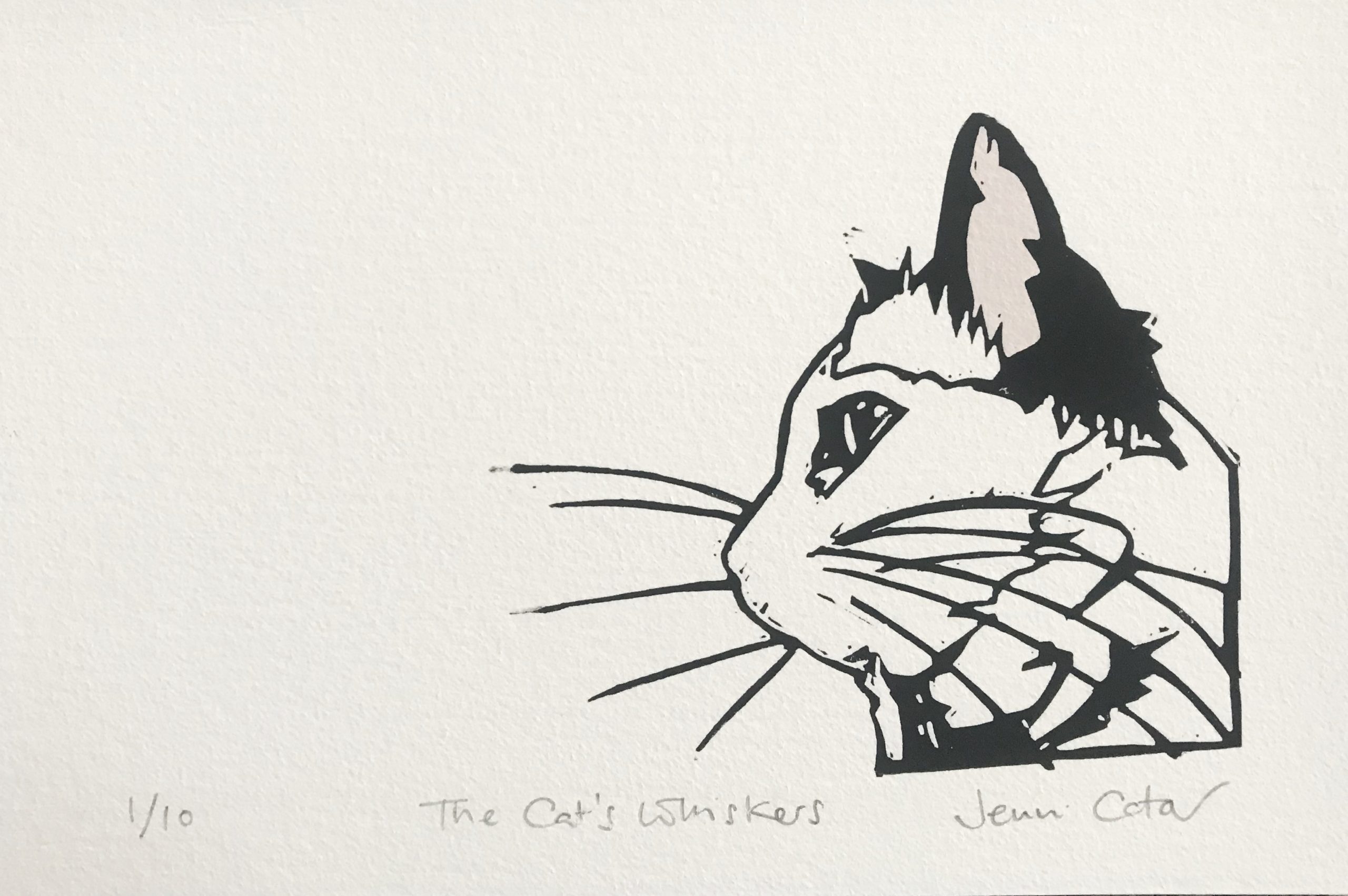 The Cats Whiskers