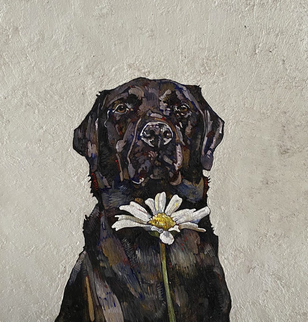 Black Labrador and Daisy