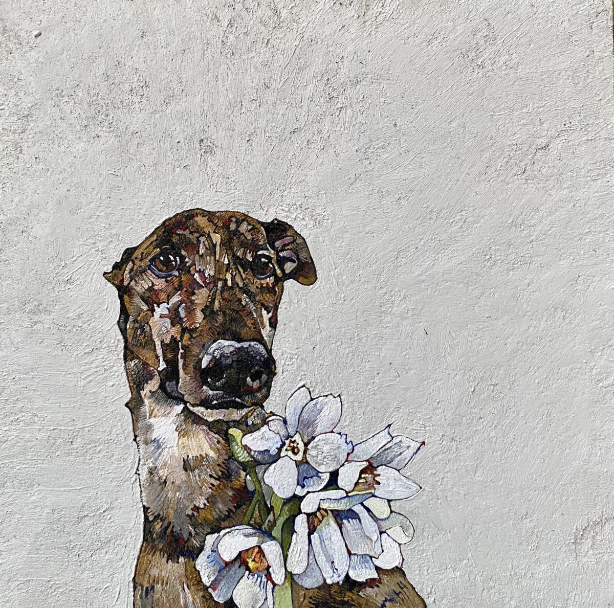 Greyhound and Narcissi