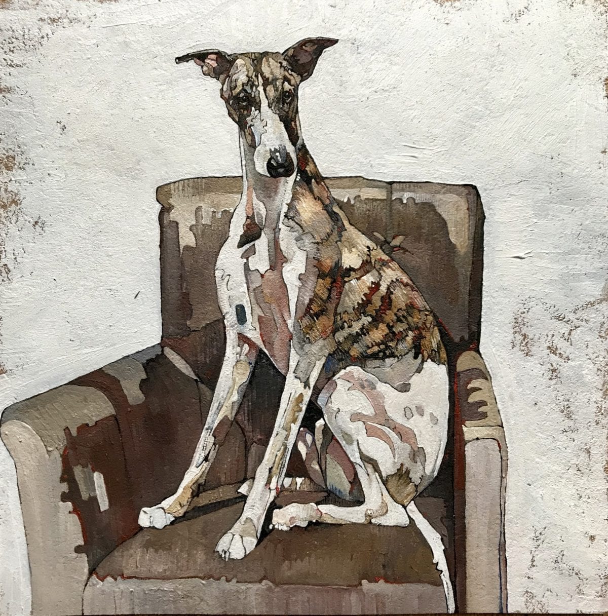 Whippet on Armchair