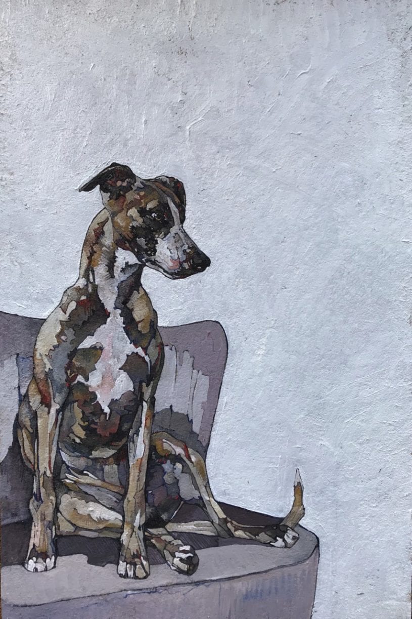 Whippet on Purple Chair