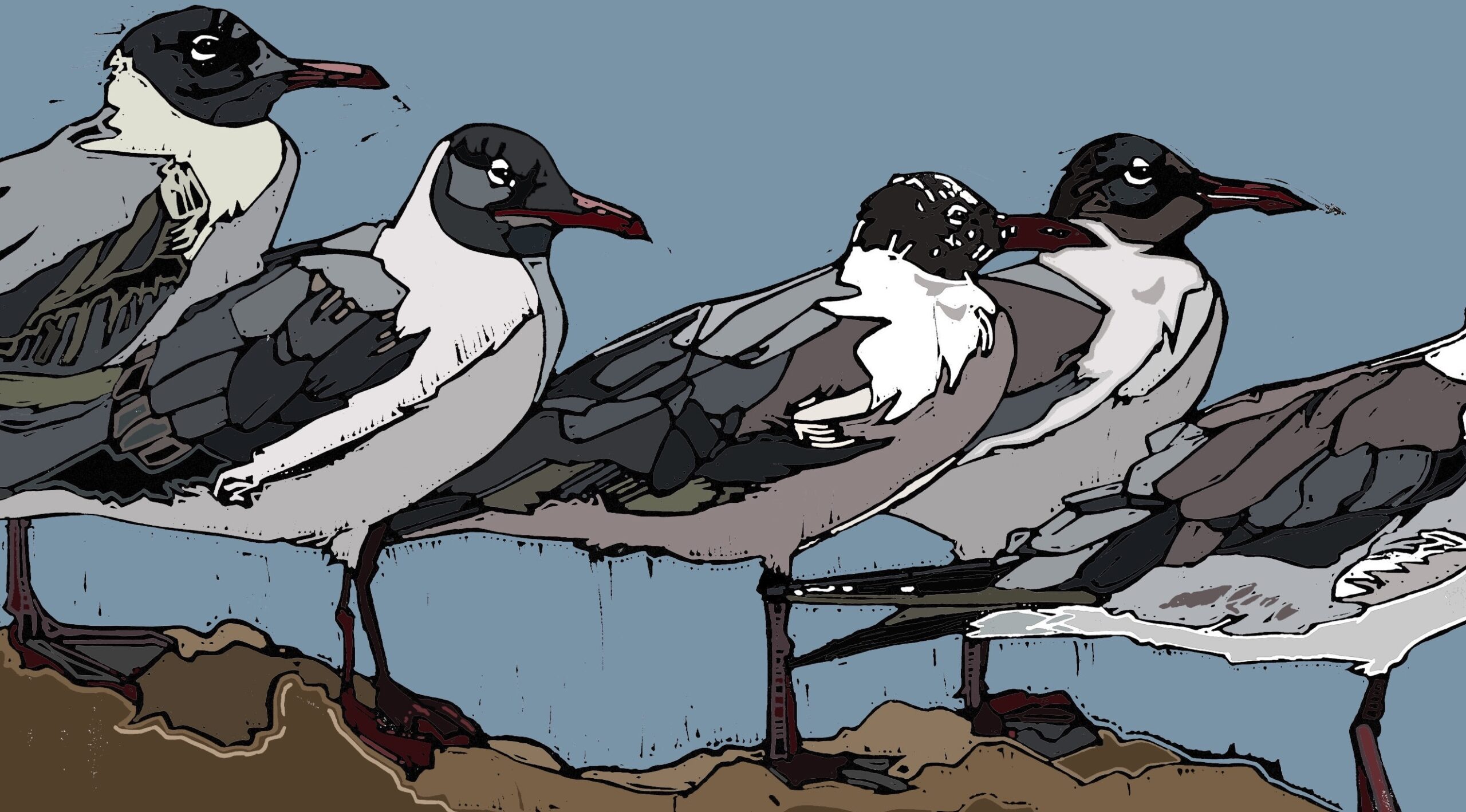 A Colony of Gulls - Image 2