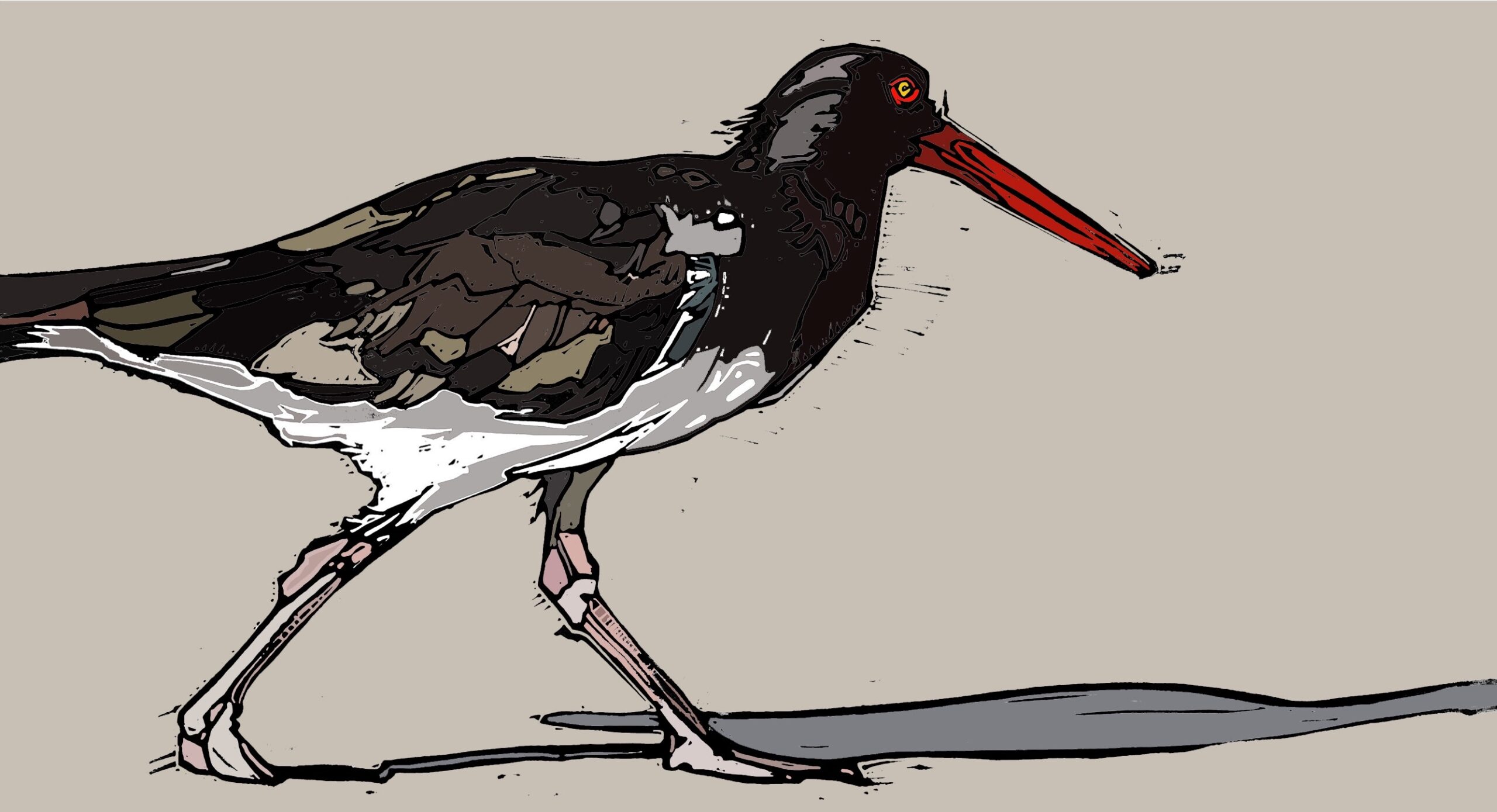 The Oyster Catcher - Image 2