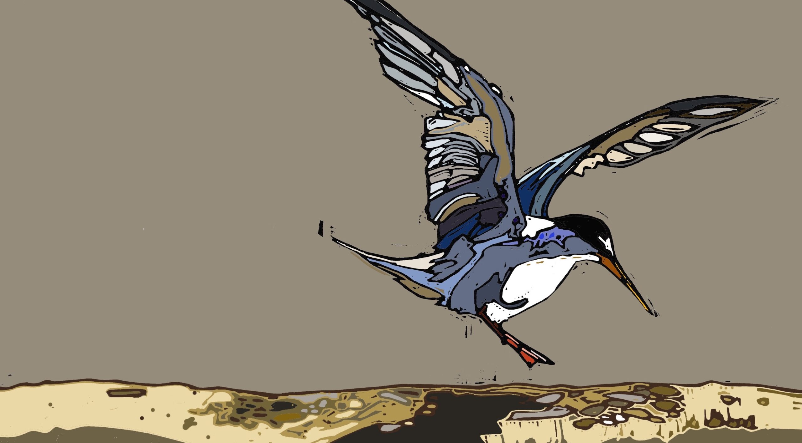 Tern at Daybreak - Image 2