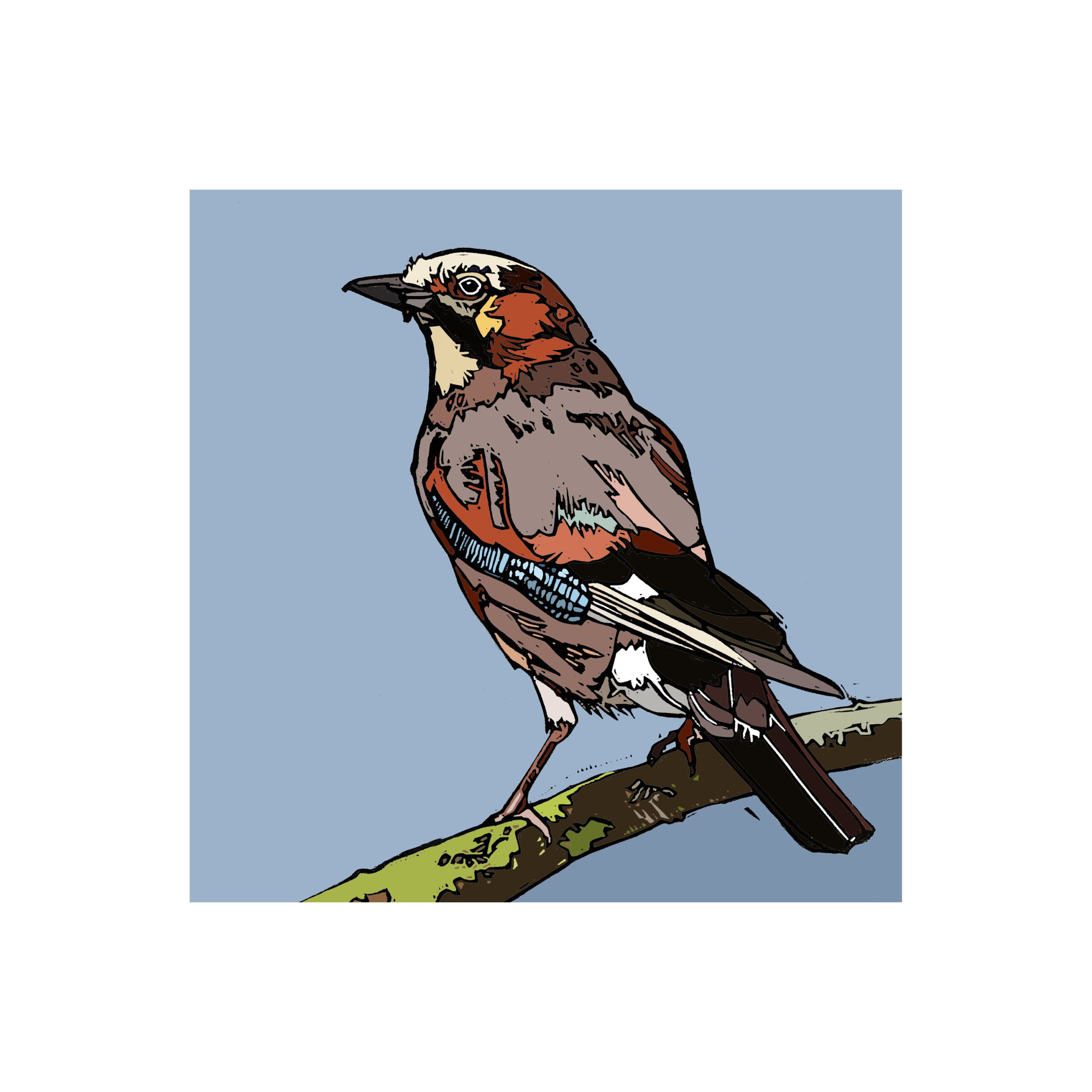 The Jay - Image 2