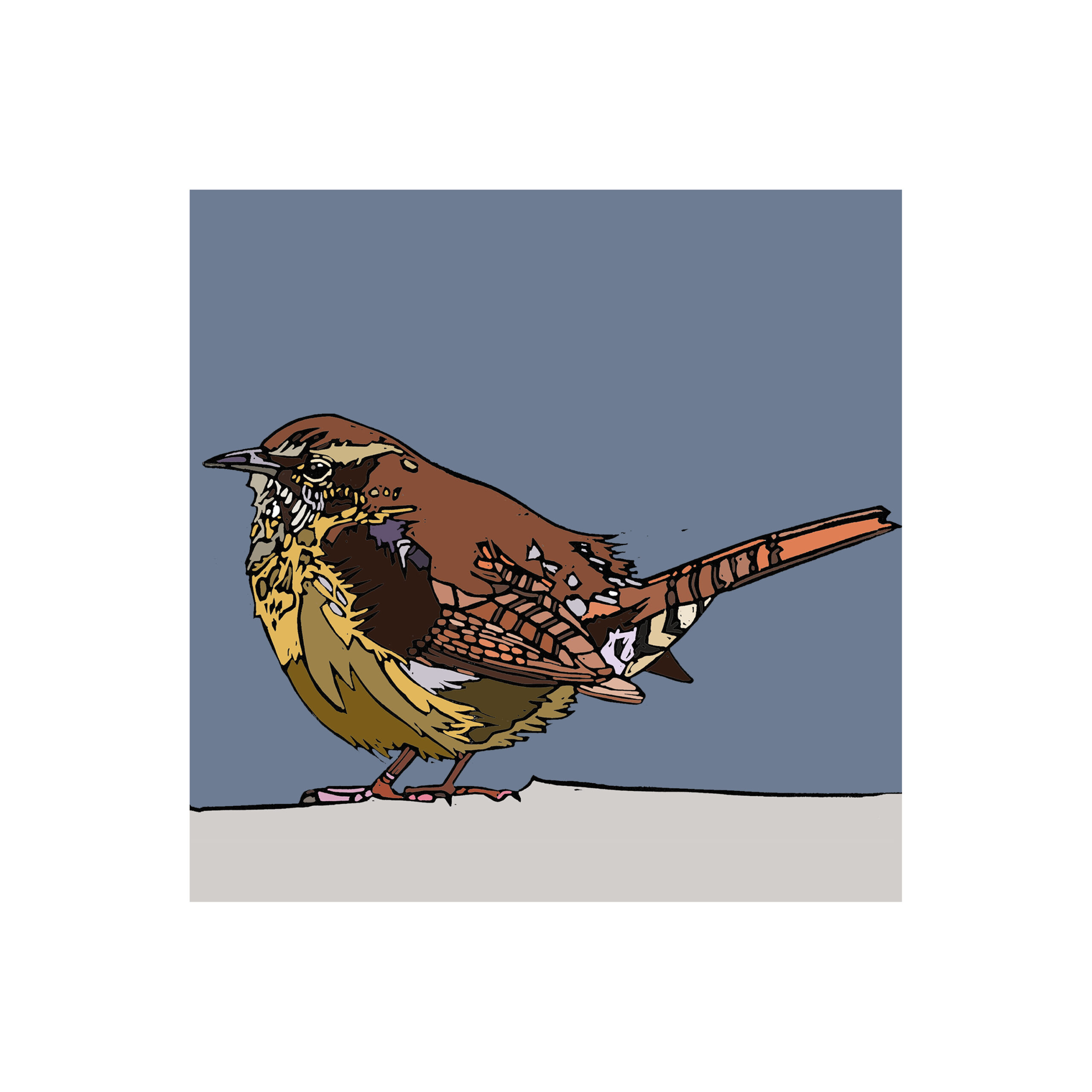 The Wren - Image 2