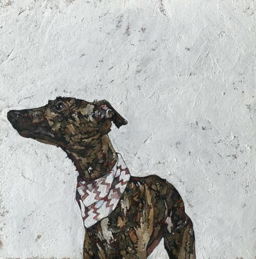 Whippet in Bandana