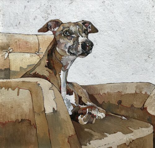Whippet on Yellow Chair