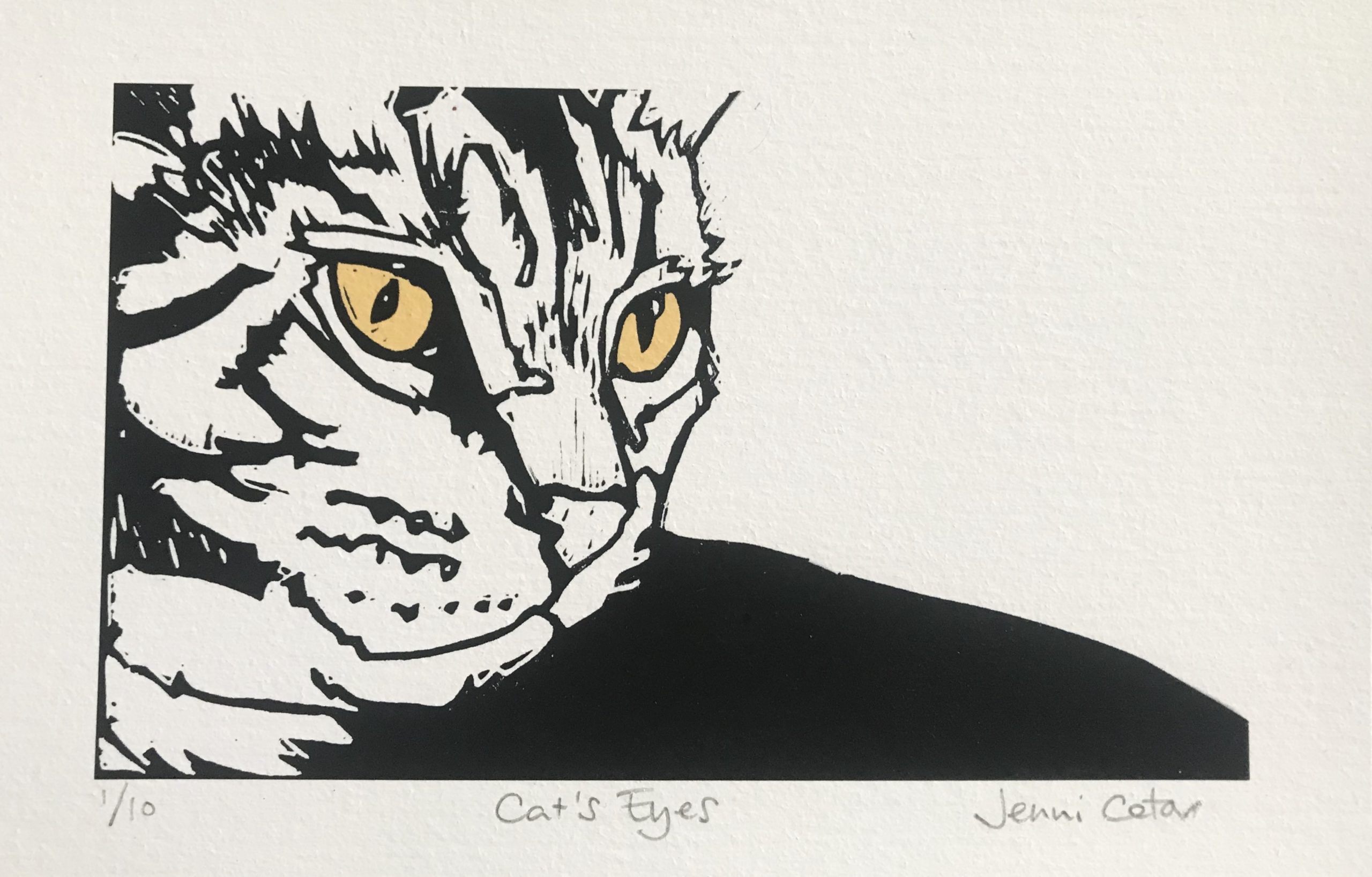 CAT'S EYES - Jenni Cator