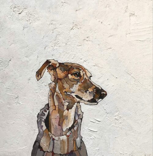 Fawn Whippet in Knitwear