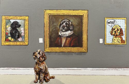 An Exhibitions of Cockapoos