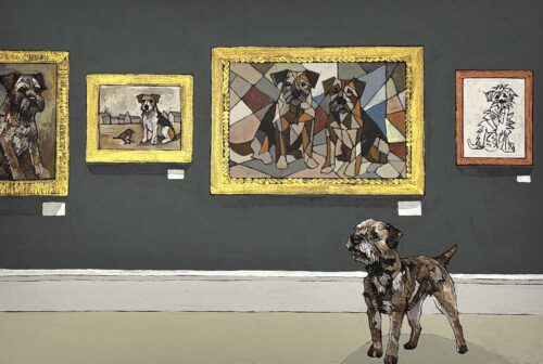 An Exhibition of Border Terriers