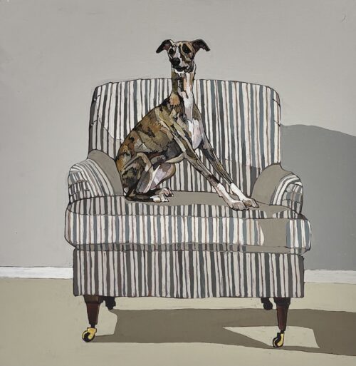 A Brindle Whippet on a Striped Chair