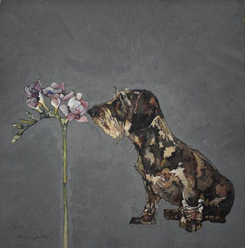 Wire Haired Dachshund and Freesia