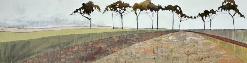 Ploughed Fields and Norfolk Pines