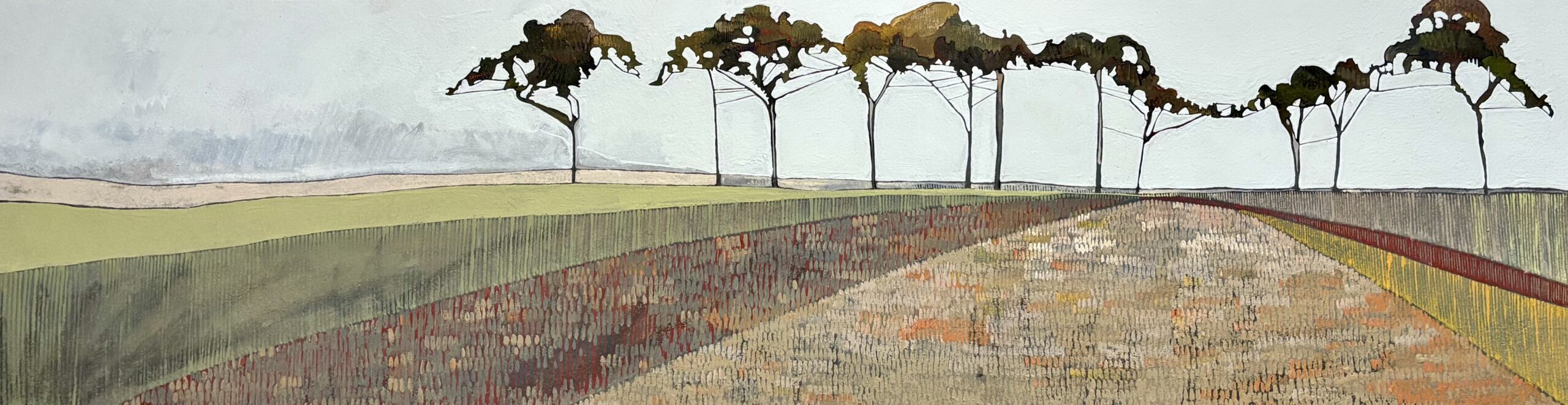 Ploughed Fields and Norfolk Pines