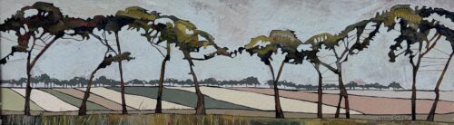 Norfolk Pines and Distant Trees