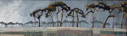 Norfolk Pines on Field Edge