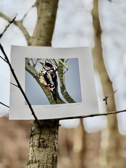 The Woodpecker