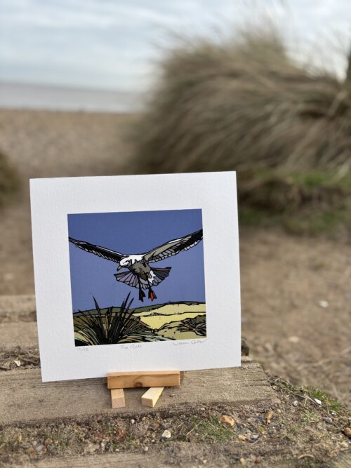 The Gull