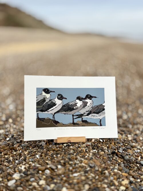 A Colony of Gulls