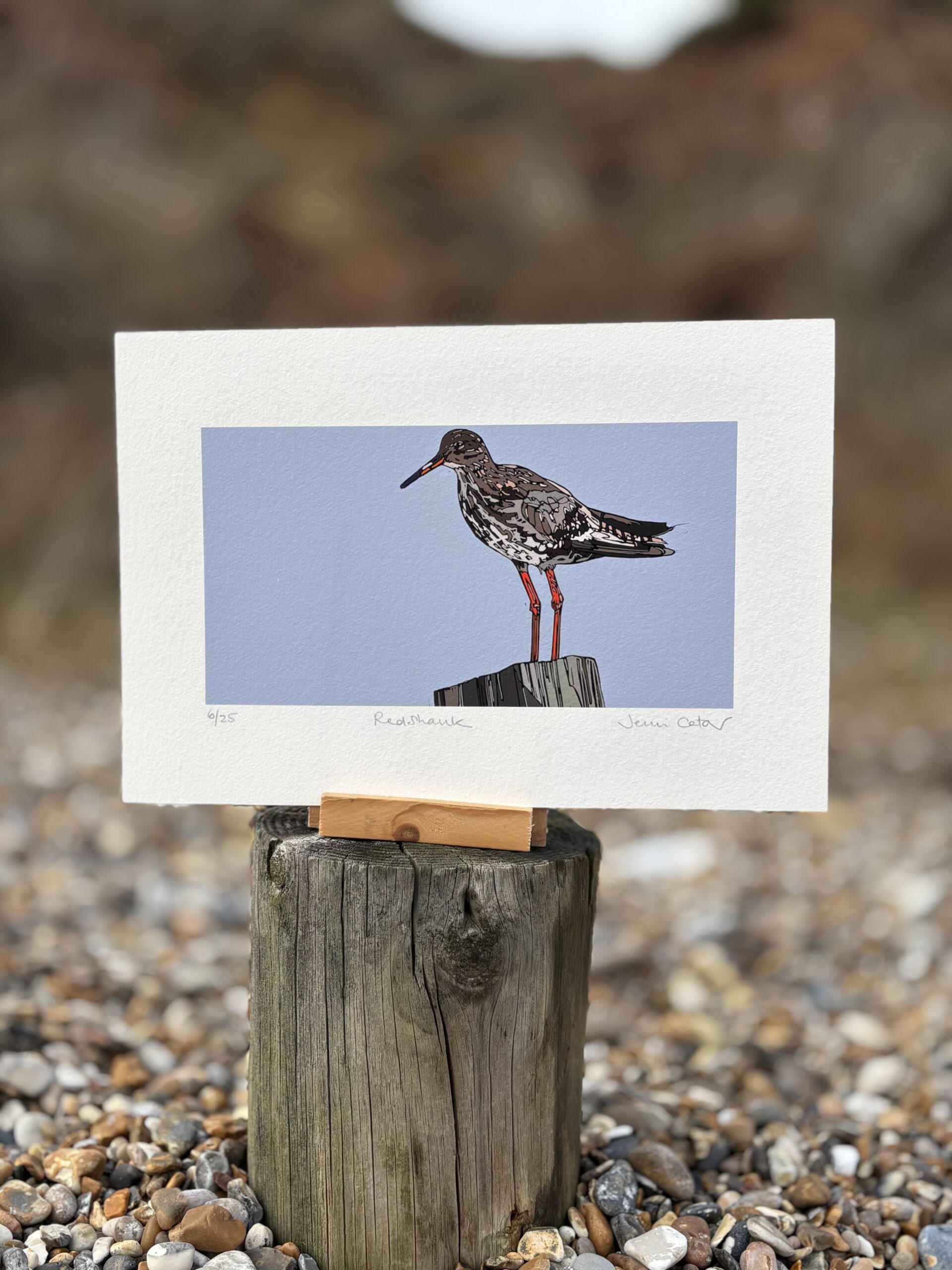 Red Shank