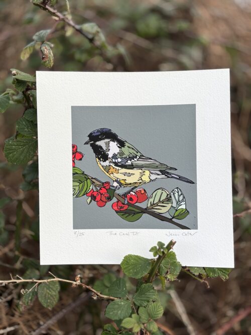 The Coal Tit